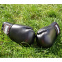 Боксерські рукавички PowerPlay 3004 Classic Чорні 8 унцій (PP_3004_8oz_Black)
