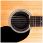 Супресор для гітари D'Addario Screeching Halt Soundhole Plug (PW-SH-01)