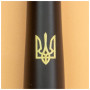 Ручка кулькова Parker URBAN 17 UKRAINE Muted Black GT BP Трезубец (30035_T001y) Ручка кулькова Parker URBAN 17 UKRAINE Muted Black GT BP Трезубец (30035_T001y)