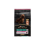 Сухий корм для собак Purina Pro Plan Small&Mini Sensitive Skin з лососем 7 кг (7613035123441) Сухий корм для собак Purina Pro Plan Small&Mini Sensitive Skin з лососем 7 кг (7613035123441)