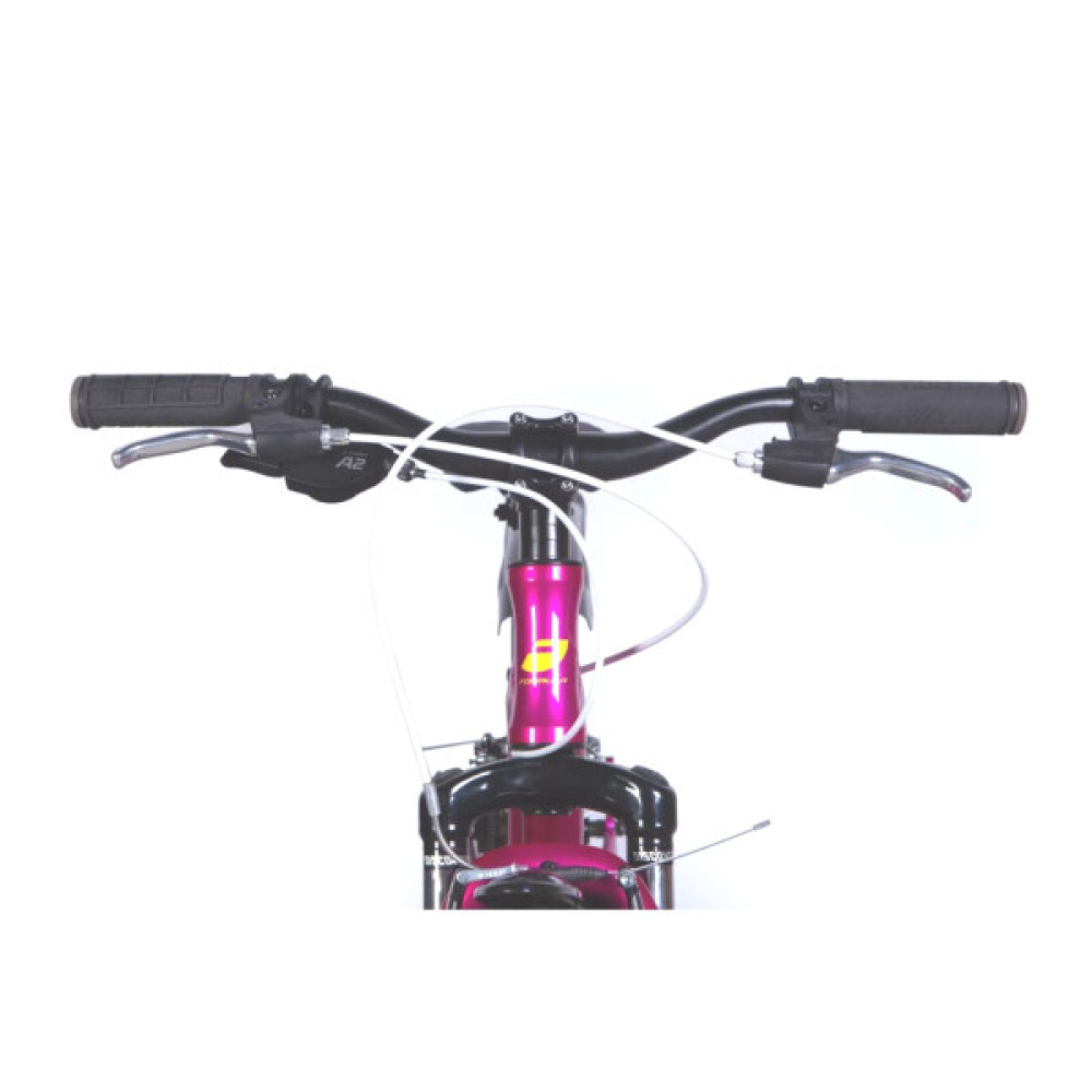 Велосипед Formula 20" BLACKWOOD Vbr FR рама-11" AL 2026 малиновий (OPS-FR-20-106)