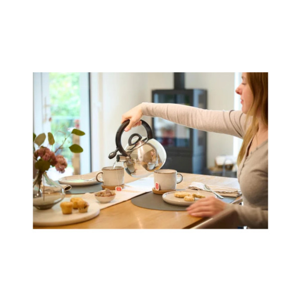 Чайник Tefal Duetto+ 2.5 л сталевий, чорний (N4180310)