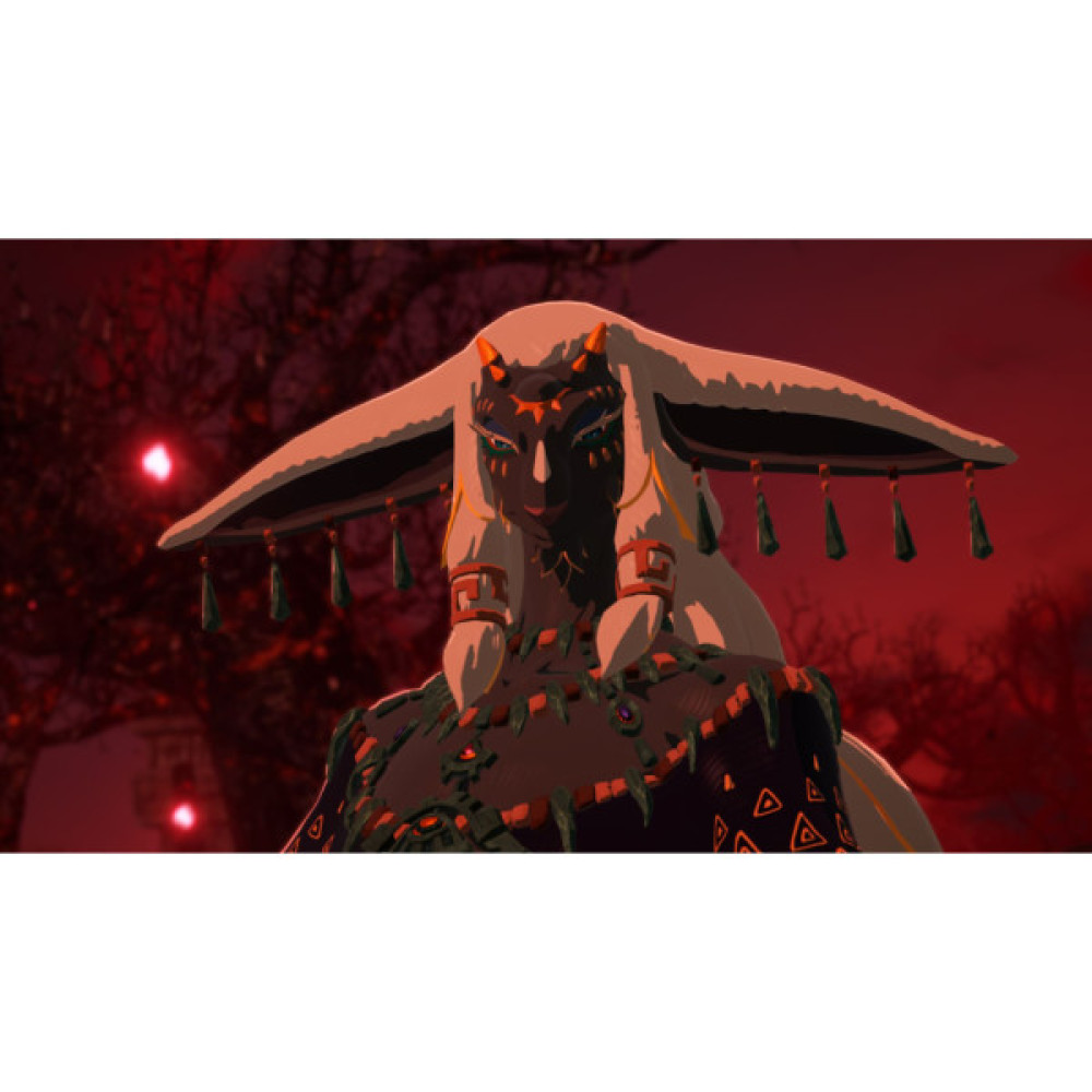 Гра Nintendo HYRULE WARRIORS AGE OF IMPRISONMENT, картридж (0045496313500)
