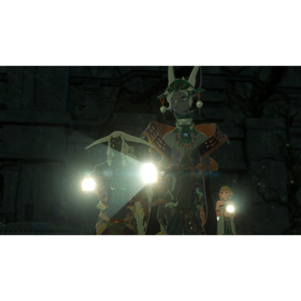 Гра Nintendo HYRULE WARRIORS AGE OF IMPRISONMENT, картридж (0045496313500)