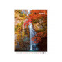 Календар Axent настінний А3 2026 р.Waterfalls (8804-26-2-A)