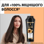 Шампунь Gliss Ultimate Repair для пошкодженого та сухого волосся 250 мл (9000100662918/9000100801416) Шампунь Gliss Ultimate Repair для пошкодженого та сухого волосся 250 мл (9000100662918/9000100801416)