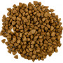 Сухий корм для кішок Savory Adult Cat Steril Fresh Lamb and Chicken 8 кг (4820232630129) Сухий корм для кішок Savory Adult Cat Steril Fresh Lamb and Chicken 8 кг (4820232630129)