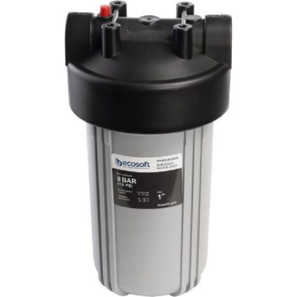 Фільтр магістральний Ecosoft ВВ10, підключення 1", 2 ущільнювальні кільця, без картриджа