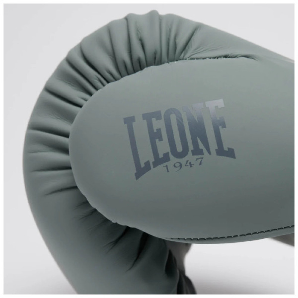 Боксерські рукавички Leone GN058 Tone X Light grey 14 oz (GN058_Light_grey_14oz)