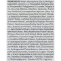 Тонік для обличчя Medi-Peel Bor-Tox Peptide Toner 180 мл (8809409348308) Тонік для обличчя Medi-Peel Bor-Tox Peptide Toner 180 мл (8809409348308)