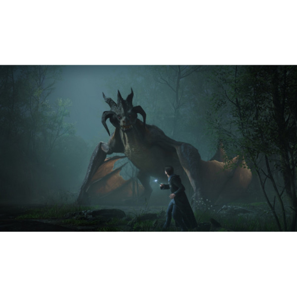 Гра Sony Hogwarts Legacy. Deluxe Edition, BD диск (5051895415412)
