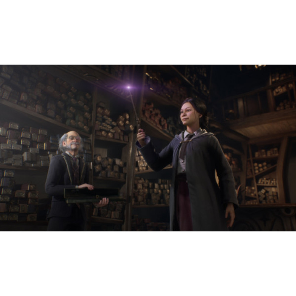 Гра Sony Hogwarts Legacy. Deluxe Edition, BD диск (5051895415412)