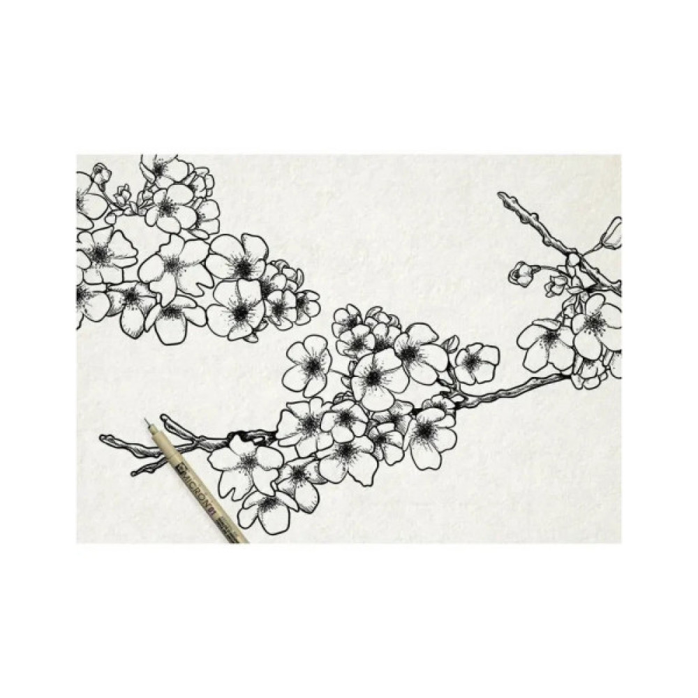 Лайнер Sakura Набір Pigma Micron 6 шт, Чорний (8710141049449)