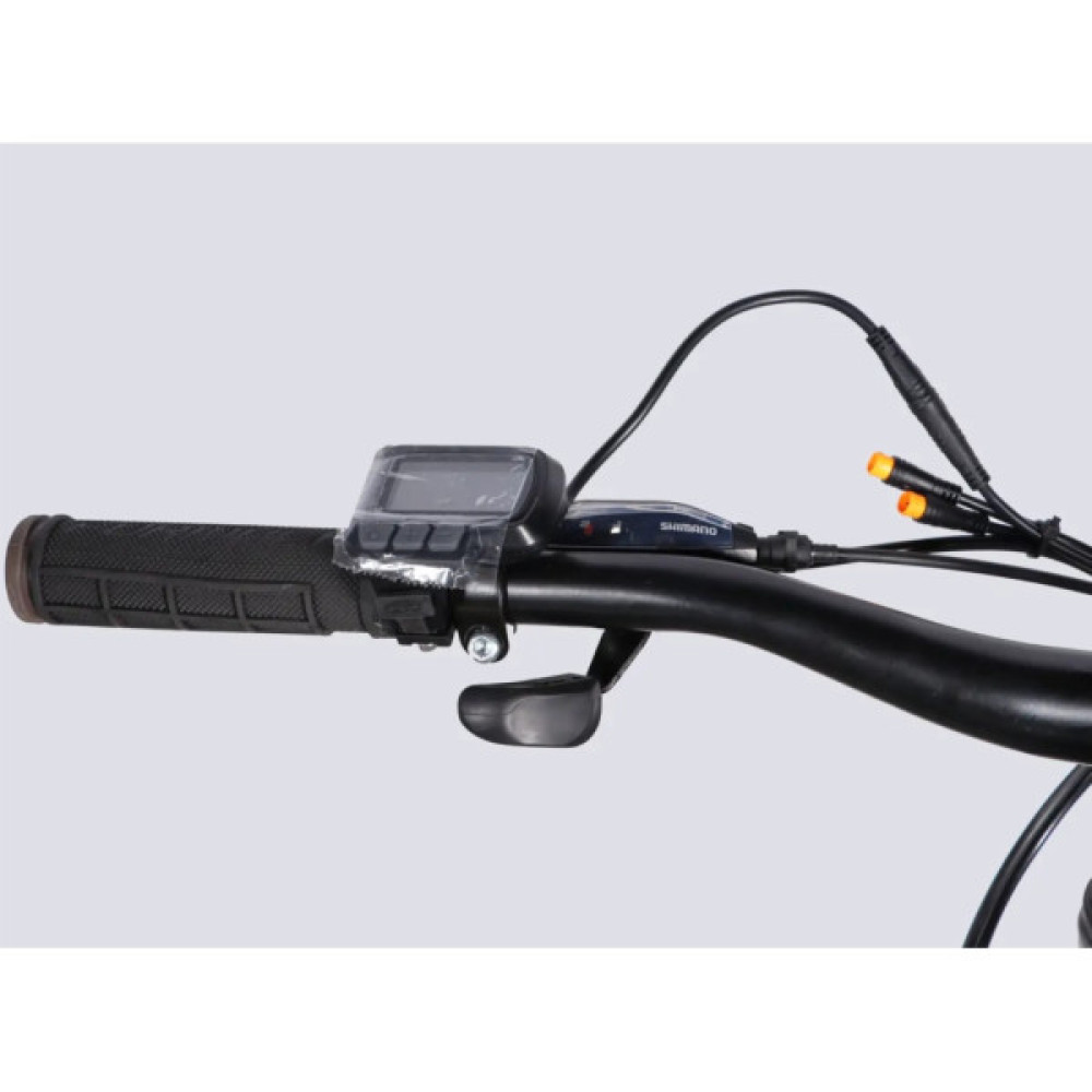 Електровелосипед Formula 29" eMOTION PLUS DD FR рама-19" 36B 12.5А*г 500Вт 2026 сіро-сріблястий (ELB-FR-29-258)