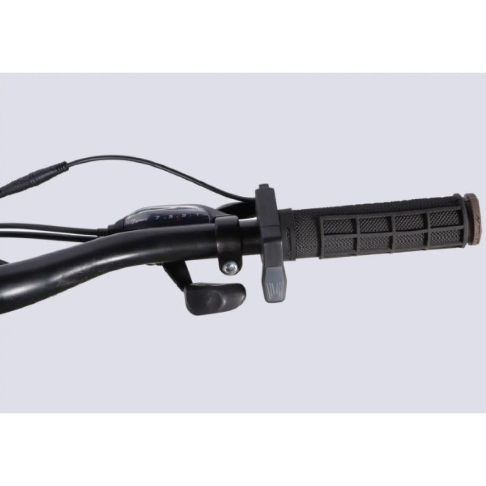 Електровелосипед Formula 29" eMOTION PLUS DD FR рама-19" 36B 12.5А*г 500Вт 2026 сіро-сріблястий (ELB-FR-29-258)