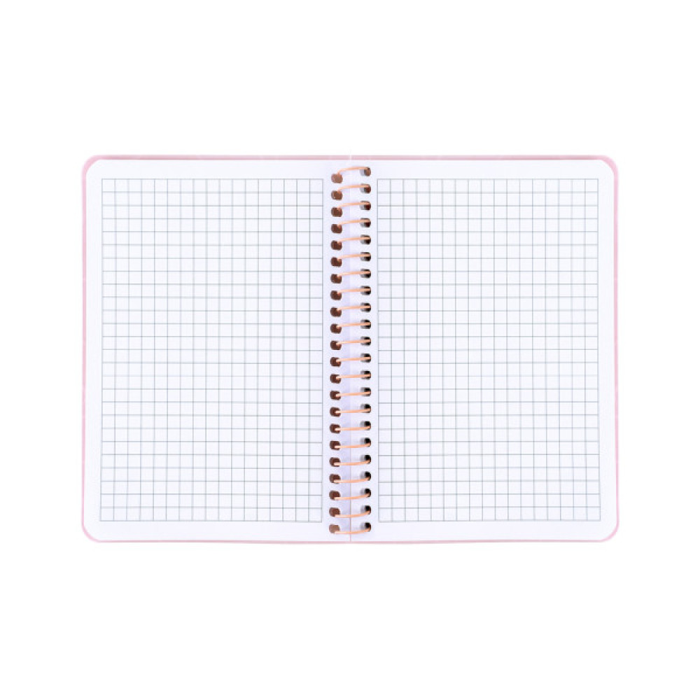 Блокнот Axent на спіралі B6 80 аркушів, клітинка, пластикова обкладинка, рожевий (8463-2-A)