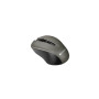 Мишка Canyon MW-1 Wireless Gray (CNE-CMSW1G) Мишка Canyon MW-1 Wireless Gray (CNE-CMSW1G)