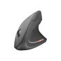 Мишка Trust Verto Wireless Ergonomic Black (22879) Мишка Trust Verto Wireless Ergonomic Black (22879)