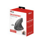 Мишка Trust Verto Wireless Ergonomic Black (22879) Мишка Trust Verto Wireless Ergonomic Black (22879)