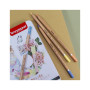 Олівці кольорові Bruynzeel EXPRESSION PASTEL, 12 кольорів (8712079468415) Олівці кольорові Bruynzeel EXPRESSION PASTEL, 12 кольорів (8712079468415)