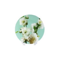 Блюдо Interos 30 см Яблоня бірюза 77578 (ИТ-S3012/R067)