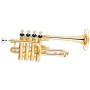 Труба Maxtone Piccolo Trumpet (TTC6L) Труба Maxtone Piccolo Trumpet (TTC6L)