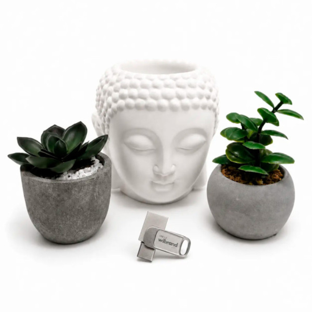 USB флеш накопичувач Wibrand 256GB Bee Silver USB 3.2/Type-C (WI3.2TC/BE256TC039S)