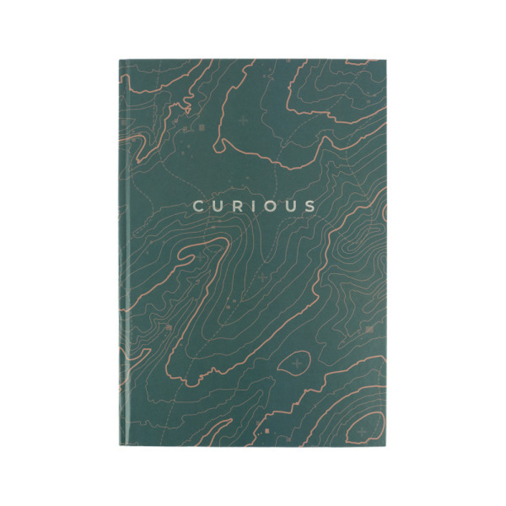 Канцелярська книга Axent Earth colors Curious А4 96 аркушів клітинка (8422-577-A)