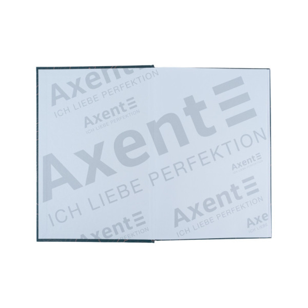 Канцелярська книга Axent Earth colors Curious А4 96 аркушів клітинка (8422-577-A)
