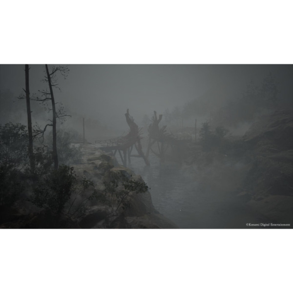 Гра Sony Silent Hill f, BD диск (4012927151617)