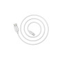 Дата кабель USB 2.0 AM to USB-C 3.0m 2.4A BX14 white BOROFONE (6957531090397)