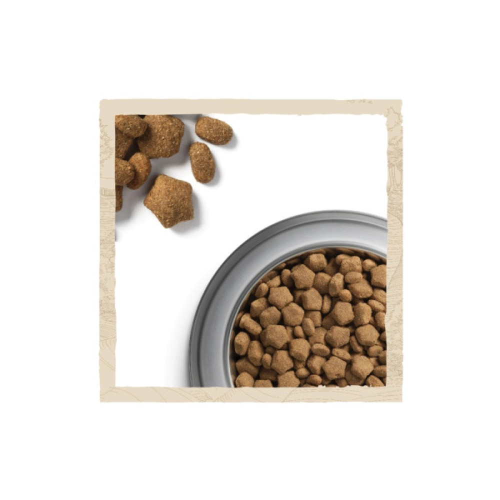 Сухий корм для собак Purina Dog Chow Active Adult зі смаком курки 2.5 кг (7613034487858)