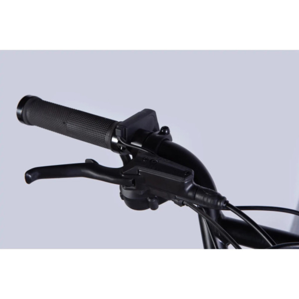 Електровелосипед Dorozhnik 20" ADAMANT HDD рама-18,5" 48B 17.5А*г 750Вт 2026 срiблястий (ELB-D-20-078)