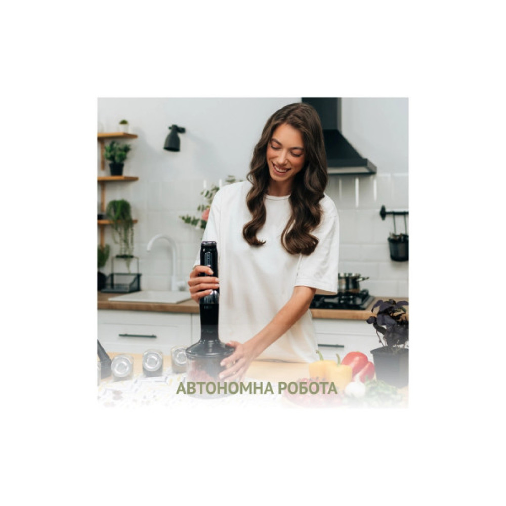 Блендер QUIN RHB-301