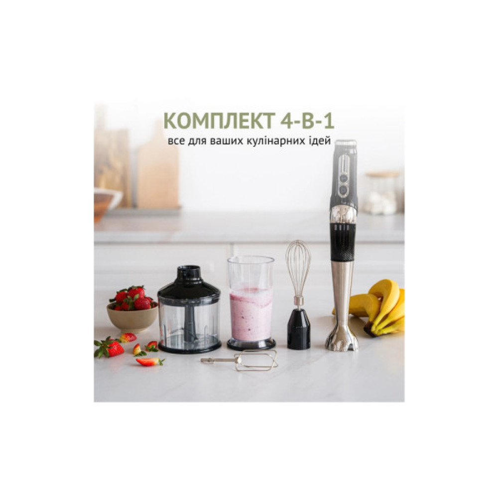 Блендер QUIN RHB-301