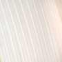 Пластик для 3D-принтера Polymaker PLA PANCHROMA TRANSLUCENT 1,75mm 1kg NATURAL (CA02037)