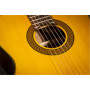 Гітара класична Takamine GC5 NAT (234729) Гітара класична Takamine GC5 NAT (234729)
