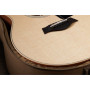 Гітара акустична Taylor Guitars GS Mini Sapele (235427)
