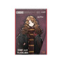 Альбом для малювання Kite Harry Potter, 30 аркушів (HP25-243)