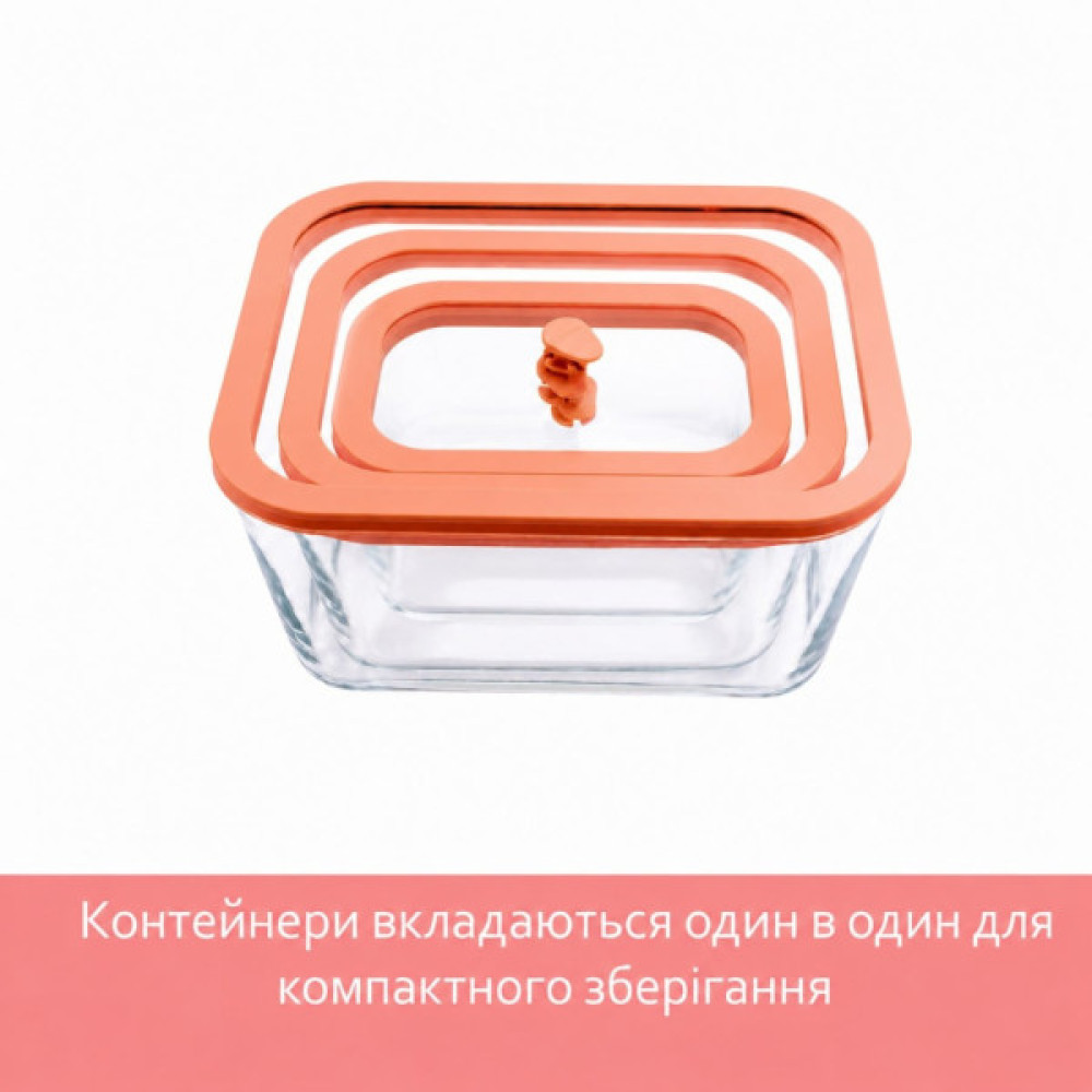 Харчовий контейнер Status Viva Набір з 4-х предметів + ручний вакуумний насос лососевий (131200)
