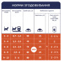 Вологий корм для кішок Club 4 Paws для кошенят в соусі зі смаком курки 80 г (4820083908927) Вологий корм для кішок Club 4 Paws для кошенят в соусі зі смаком курки 80 г (4820083908927)