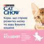 Сухий корм для кішок Purina Cat Chow Kitten з куркою 1.5 кг (5997204513984)