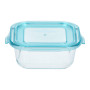 Харчовий контейнер miFamilia Convenient Q 520 мл (6045)
