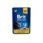 Вологий корм для кішок Brit Premium Cat Pouches with Salmon&Trout 100 г (8595602505999) Вологий корм для кішок Brit Premium Cat Pouches with Salmon&Trout 100 г (8595602505999)