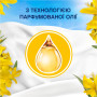 Кондиціонер для білизни Lenor Сицилія 1.239 л (8700216724654) Кондиціонер для білизни Lenor Сицилія 1.239 л (8700216724654)