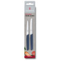 Набір ножів Victorinox Swiss Modern Paring Set 2шт Blue (6.9096.2L3) Набір ножів Victorinox Swiss Modern Paring Set 2шт Blue (6.9096.2L3)