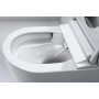Комплект Grohe Rapid SLX унітаз/біде з прихованим монтажем 4 в 1.