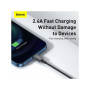 Дата кабель USB 2.0 AM to Lightning 2.0m 2.4A black Baseus (CALYS-C01) Дата кабель USB 2.0 AM to Lightning 2.0m 2.4A black Baseus (CALYS-C01)