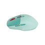 Мишка Canyon MW-26 LCD Silent Wireless/Bluetooth Green (CNS-CMSW26GR) Мишка Canyon MW-26 LCD Silent Wireless/Bluetooth Green (CNS-CMSW26GR)