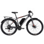 Електровелосипед Formula 29" eMOTION PLUS DD FR рама-19" 48B 15А*г 500Вт 2026 сіро-сріблястий (ELB-FR-29-261)